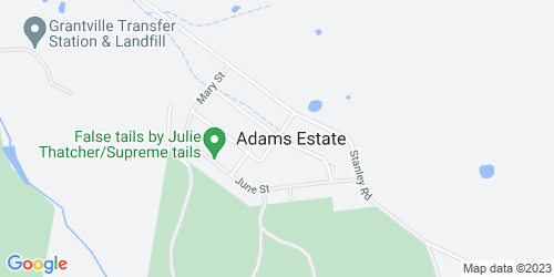 Adams Estate crime map