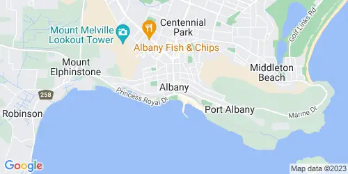 Albany crime map