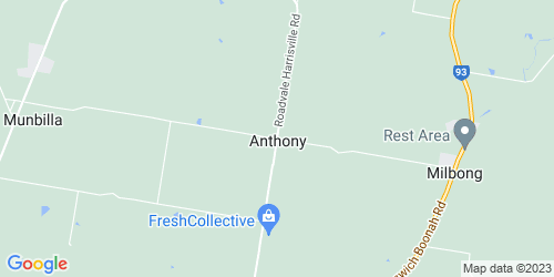 Anthony crime map