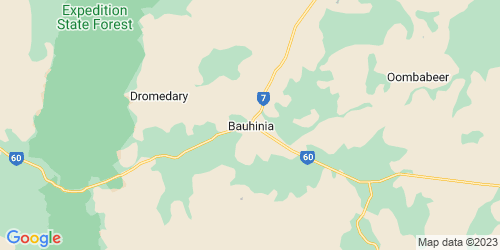 Bauhinia crime map