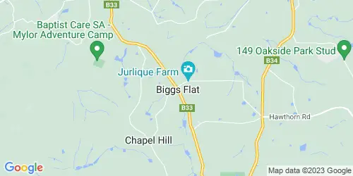Biggs Flat crime map