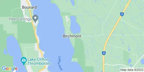 Birchmont crime map
