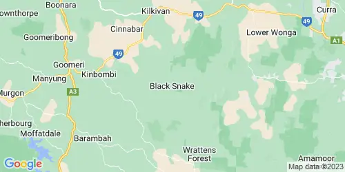 Black Snake crime map