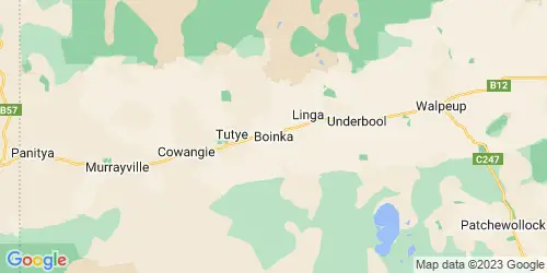 Boinka crime map