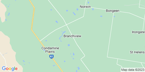 Branchview crime map