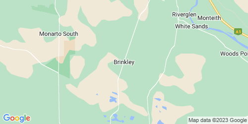 Brinkley crime map