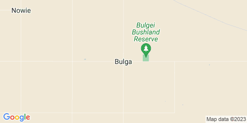 Bulga crime map