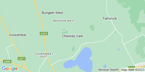 Chesney Vale crime map