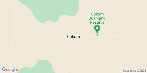 Cokum crime map