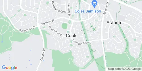 Cook crime map