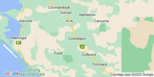 Coonalpyn crime map