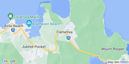 Flametree crime map