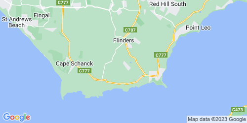 Flinders crime map