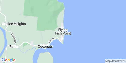 Flying Fish Point crime map