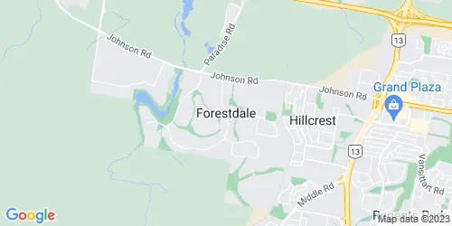 Forestdale crime map