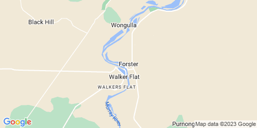 Forster crime map