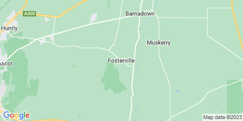 Fosterville crime map