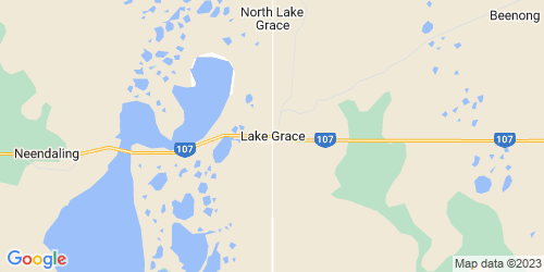 Lake Grace crime map