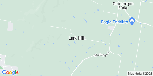 Lark Hill crime map