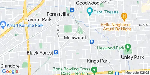 Millswood crime map