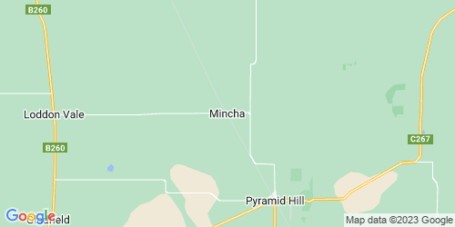 Mincha crime map