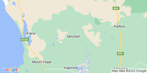 Mitchell crime map