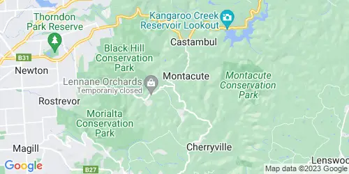 Montacute crime map