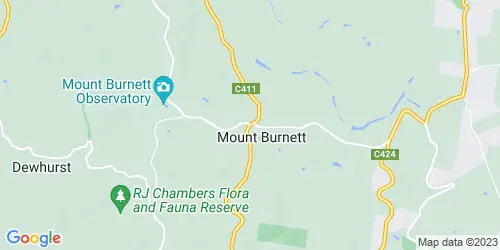 Mount Burnett crime map