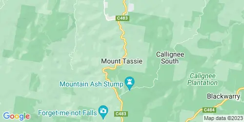 Mount Tassie crime map