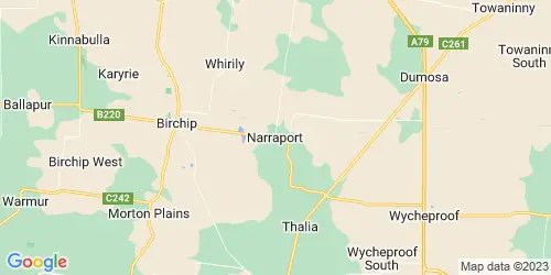 Narraport crime map