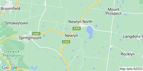 Newlyn crime map