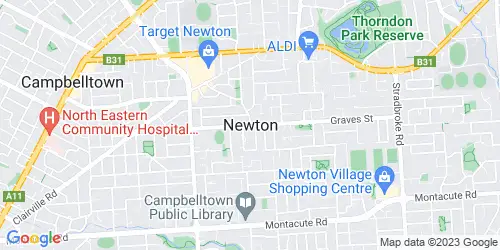 Newton crime map