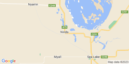 Ninda crime map