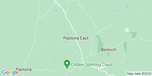 Pastoria East crime map