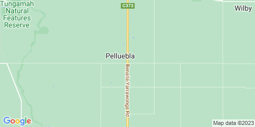 Pelluebla crime map