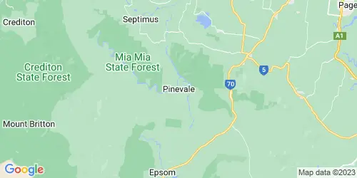 Pinevale crime map