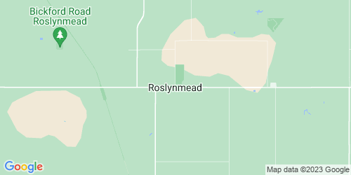 Roslynmead crime map