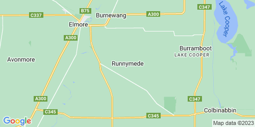 Runnymede crime map