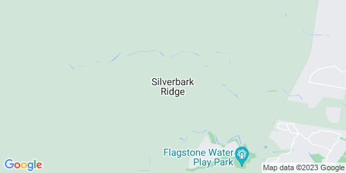 Silverbark Ridge crime map