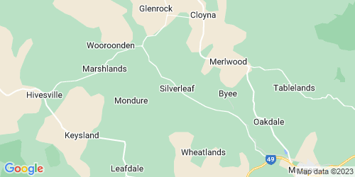 Silverleaf crime map