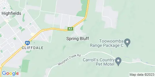 Spring Bluff crime map