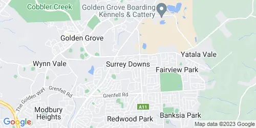 Surrey Downs crime map