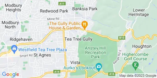 Tea Tree Gully crime map