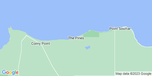 The Pines crime map