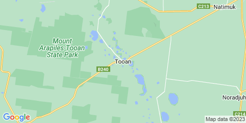 Tooan crime map
