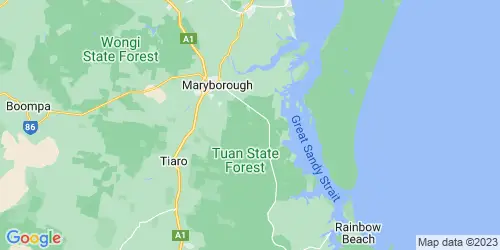 Tuan Forest crime map