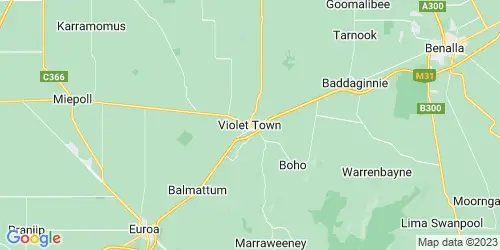 Violet Town crime map