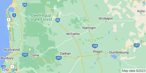 Williams crime map