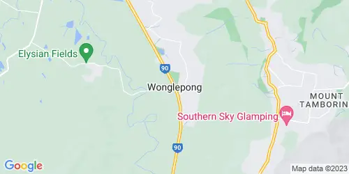 Wonglepong crime map