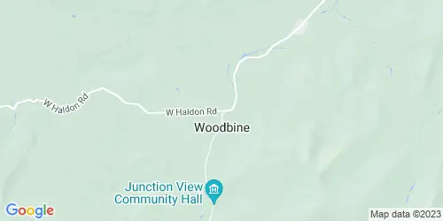 Woodbine crime map